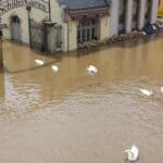Schillergarten Hochwasser 2013 Bild 1